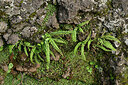 BUITEN BEELD Foto: 449201