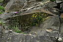 BUITEN BEELD Foto: 449204