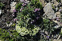 BUITEN BEELD Foto: 449206