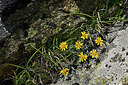 BUITEN BEELD Foto: 449210