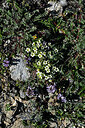 BUITEN BEELD Foto: 449211
