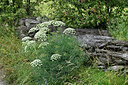 BUITEN BEELD Foto: 449212