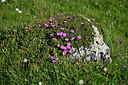 BUITEN BEELD Foto: 449216