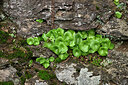 BUITEN BEELD Foto: 449223