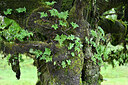 BUITEN BEELD Foto: 449224