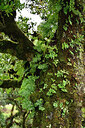 BUITEN BEELD Foto: 449232