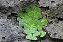 BUITEN BEELD Foto: 449235
