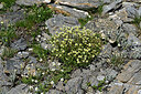 BUITEN BEELD Foto: 449237