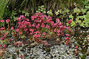 BUITEN BEELD Foto: 449239