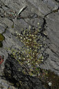 BUITEN BEELD Foto: 449240