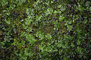 BUITEN BEELD Foto: 449243