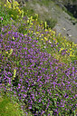 BUITEN BEELD Foto: 449244