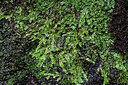 BUITEN BEELD Foto: 449250