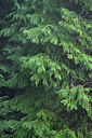 BUITEN BEELD Foto: 449252