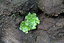 BUITEN BEELD Foto: 449253