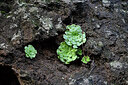 BUITEN BEELD Foto: 449254