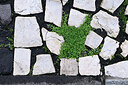 BUITEN BEELD Foto: 449258
