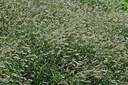 BUITEN BEELD Foto: 449263