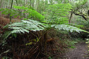BUITEN BEELD Foto: 449270