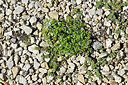 BUITEN BEELD Foto: 449272