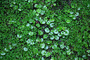 BUITEN BEELD Foto: 449275