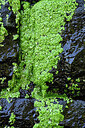 BUITEN BEELD Foto: 449280