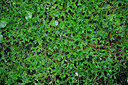 BUITEN BEELD Foto: 449289