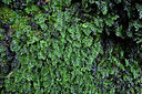 BUITEN BEELD Foto: 449293