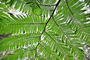 BUITEN BEELD Foto: 449296