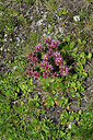 BUITEN BEELD Foto: 449302
