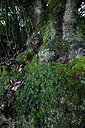 BUITEN BEELD Foto: 449303