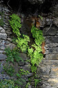 BUITEN BEELD Foto: 449313