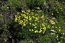 BUITEN BEELD Foto: 449314