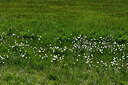 BUITEN BEELD Foto: 449317