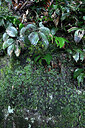 BUITEN BEELD Foto: 449318