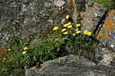 BUITEN BEELD Foto: 449321
