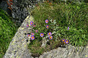 BUITEN BEELD Foto: 449322