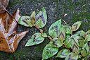 BUITEN BEELD Foto: 449327