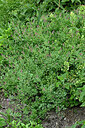 BUITEN BEELD Foto: 449328