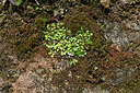 BUITEN BEELD Foto: 449330