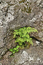BUITEN BEELD Foto: 449339