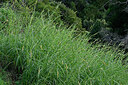 BUITEN BEELD Foto: 449340