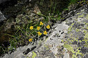 BUITEN BEELD Foto: 449344