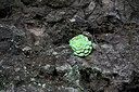 BUITEN BEELD Foto: 449345