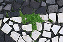 BUITEN BEELD Foto: 449356