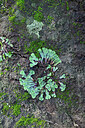 BUITEN BEELD Foto: 449360