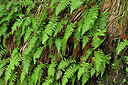 BUITEN BEELD Foto: 449361