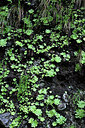 BUITEN BEELD Foto: 449362