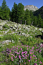 BUITEN BEELD Foto: 449366