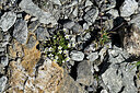 BUITEN BEELD Foto: 449370